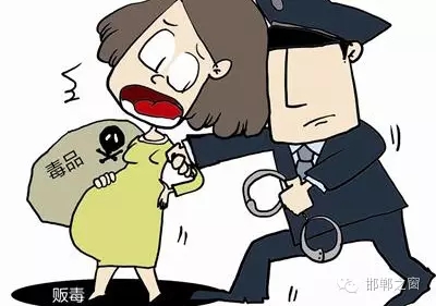 2016年初，涉縣警方查獲一起涉毒案件，鑒于該案涉案人員多、毒品交易量大，涉縣警方立即將案情上報，被公安部確立為“目標-2016-314”號毒品案件。涉縣警方成立專案組，經(jīng)過多方追查，先后抓獲團伙人員13名，繳獲毒品5349克，并查明上線“濮姐”的真實身份為陳某。